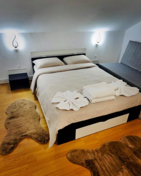 Casa Montana Predeal